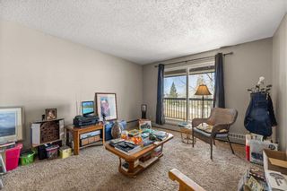 Photo 12: 224 6108 53 Street: Olds Apartment for sale : MLS®# A2127287