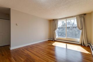 Photo 11: 305 934 2 Avenue NW in Calgary: Sunnyside Apartment for sale : MLS®# A1210615