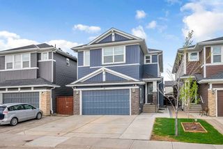 Photo 2: 15 Red Embers Terrace NE in Calgary: Redstone Detached for sale : MLS®# A2133316