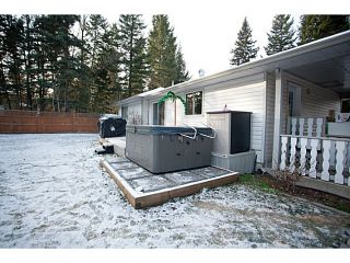 Photo 17: 130 BORLAND Drive: 150 Mile House House for sale in "BORLAND VALLEY" (Williams Lake (Zone 27))  : MLS®# N241052