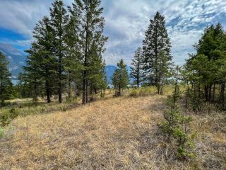 Photo 9: Lot 11 BELLA VISTA BOULEVARD in Fairmont Hot Springs: Vacant Land for sale : MLS®# 2466823
