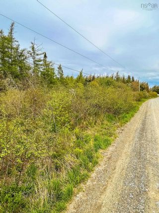 Photo 9: Lot 101 Long Cove Road in Port Medway: 406-Queens County Vacant Land for sale (South Shore)  : MLS®# 202304042