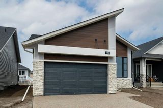 Photo 29: 802 Mandalay Link: Carstairs Detached for sale : MLS®# A2125564