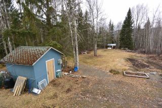 Photo 37: 3526 BREWSTER Street in New Hazelton: Hazelton House for sale (Smithers And Area (Zone 54))  : MLS®# R2669589