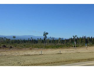 Photo 15: LOT 16 BELL Place in Mackenzie: Mackenzie -Town Land for sale in "BELL PLACE" : MLS®# N227309