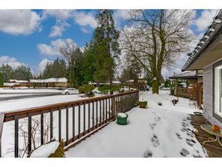 Photo 30: 21645 RIDGEWAY Crescent in Maple Ridge: West Central House for sale : MLS®# R2640018