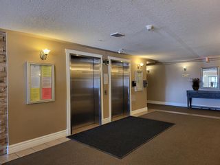 Photo 5: 217 345 Rocky Vista Park NW in Calgary: Rocky Ridge Apartment for sale : MLS®# A2036960