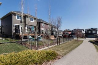 Photo 36: 381 Nolan Hill Boulevard NW in Calgary: Nolan Hill Detached for sale : MLS®# A1209844