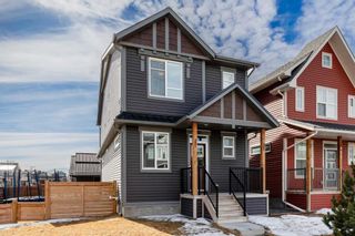 Photo 50: 401 Chinook Gate Square SW: Airdrie Detached for sale : MLS®# A2115212