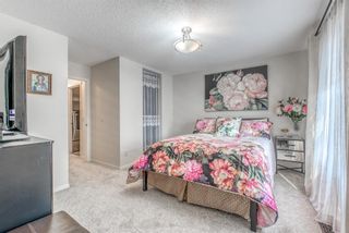 Photo 17: 262 Copperstone Circle SE in Calgary: Copperfield Detached for sale : MLS®# A1136994