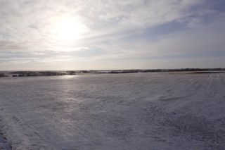 Photo 11: SE 34-45-19-W4: Rural Camrose County Residential Land for sale : MLS®# A2013938