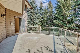 Photo 12: 95 Bel-Aire Place SW in Calgary: Bel-Aire Detached for sale : MLS®# A2051099