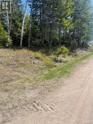 Photo 10: 433 Shore Road in Breadalbane: Vacant Land for sale : MLS®# NB086598