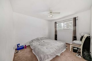 Photo 19: 2416 53 Avenue SW in Calgary: North Glenmore Park Detached for sale : MLS®# A2132217