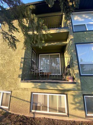 Photo 24: 201 4512 75 Street NW in Calgary: Bowness Apartment for sale : MLS®# A2052575