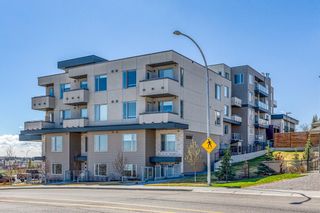 Photo 21: 12 30 Shawnee Common SW in Calgary: Shawnee Slopes Apartment for sale : MLS®# A2123625