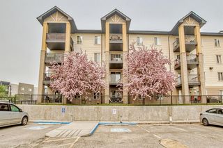 Photo 26: 8102 304 MacKenzie Way SW: Airdrie Apartment for sale : MLS®# A2049550