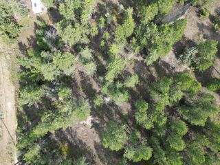 Photo 14: Lot 6 EMERALD EAST FRONTAGE ROAD in Windermere: Vacant Land for sale : MLS®# 2467175
