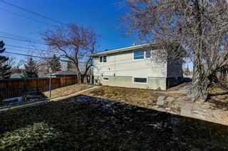 Photo 44: 1711 12 Avenue NE in Calgary: Mayland Heights Detached for sale : MLS®# A1178466