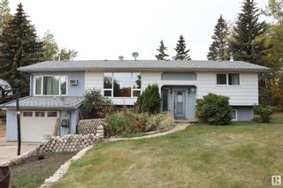 Photo 32: 4701 22 Street: Rural Wetaskiwin County House for sale : MLS®# E4335328
