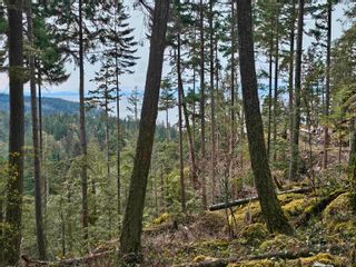 Photo 7: Lot 6 HAYES Road: Bowen Island Land for sale : MLS®# R2864146