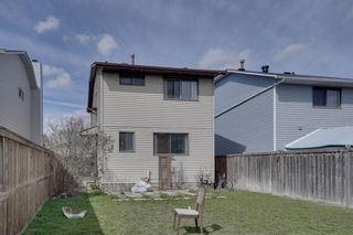 Photo 28: 192 Castlegreen Close NE in Calgary: Castleridge Detached for sale : MLS®# A2126596