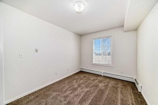 Photo 46: 1308 99 Copperstone Park SE in Calgary: Copperfield Apartment for sale : MLS®# A2124079