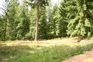 Photo 19: 11 6432 Sunnybrae Road in Tappen: Steamboat Shores Vacant Land for sale (Shuswap Lake)  : MLS®# 10155187