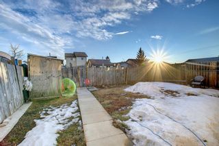 Photo 31: 3727 44 Avenue NE in Calgary: Whitehorn Detached for sale : MLS®# A1172903