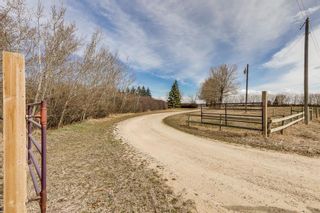 Photo 46: 22214 Township Road 280 in Rural Rocky View County: Rural Rocky View MD Detached for sale : MLS®# A2126718