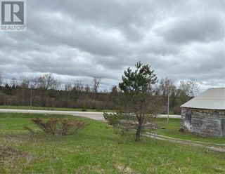 Photo 6: 2616 COUNTY ROAD 121 ROAD in Burnt River: Vacant Land for sale : MLS®# 1341523