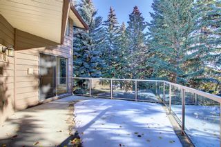 Photo 14: 95 Bel-Aire Place SW in Calgary: Bel-Aire Detached for sale : MLS®# A2008204