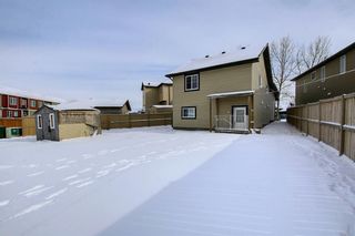 Photo 36: 250 Martinwood Place NE in Calgary: Martindale Detached for sale : MLS®# A1186078