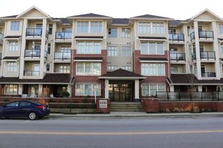 Photo 14: 404-2330 SHAUGHNESSY STREET in PORT COQUITLAM: Condo for sale (Port Coquitlam)  : MLS®#  V1123158