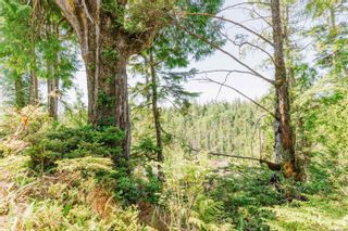 Photo 19: LOT B Hawkes Rd in Ucluelet: PA Ucluelet Land for sale (Port Alberni)  : MLS®# 942953