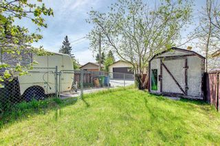 Photo 26: 169 Falsby Road NE in Calgary: Falconridge Semi Detached (Half Duplex) for sale : MLS®# A1252532
