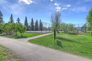 Photo 50: 128 Citadel Park NW in Calgary: Citadel Detached for sale : MLS®# A2052176