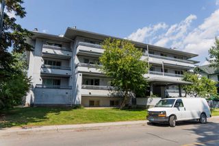Photo 2: 202 123 Muskrat Street: Banff Apartment for sale : MLS®# A2016223