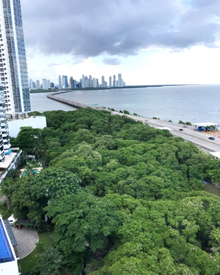 Photo 3: Penthouse For Sale Coco Del Mar, Panama