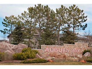 Photo 25: 139 AUBURN BAY Close SE in Calgary: Auburn Bay House for sale : MLS®# C4008235