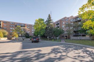 Photo 28: 227 30 Mchugh Court NE in Calgary: Mayland Heights Apartment for sale : MLS®# A2003552