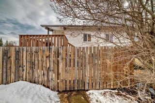 Photo 24: 223 Pinemont Road NE in Calgary: Pineridge Semi Detached (Half Duplex) for sale : MLS®# A2120307
