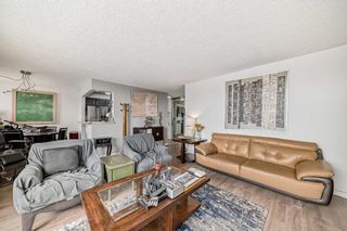 Photo 13: 913 8604 48 Avenue NW in Calgary: Bowness Apartment for sale : MLS®# A2126675