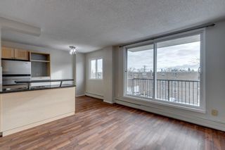 Photo 4: 401 635 57 Avenue SW in Calgary: Windsor Park Apartment for sale : MLS®# A2105894