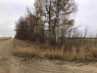 Photo 25: TWP RD 583 Range Rd 271: Rural Westlock County Rural Land/Vacant Lot for sale : MLS®# E4218433
