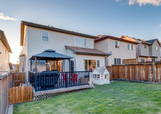 Photo 45: 248 EVANSBROOKE Way NW in Calgary: Evanston Detached for sale : MLS®# A1221592