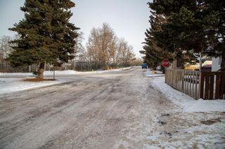 Photo 22: 290 3223 83 Street NW in Calgary: Bowness Mobile for sale : MLS®# A2012089
