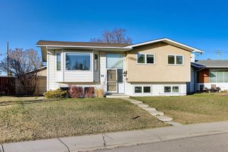 Photo 38: 52 Maple Court Crescent SE in Calgary: Maple Ridge Detached for sale : MLS®# A1092001
