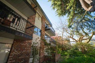 Photo 2: 202 2330 MAPLE Street in Vancouver: Kitsilano Condo for sale in "Maple Gardens" (Vancouver West)  : MLS®# R2710090