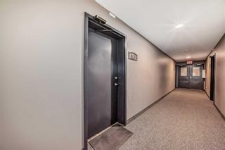 Photo 17: 103 1917 24A Street SW in Calgary: Richmond Apartment for sale : MLS®# A2128198